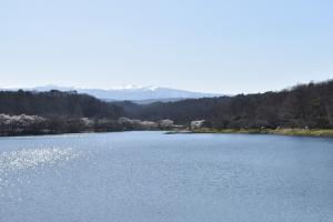 牛野ダム湖畔